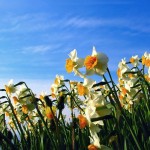 Marcowe twórcze spotkanie arteterapeutyczne