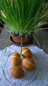 owies2