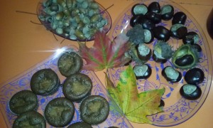 20171003_164251