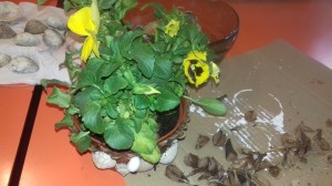 20180508_171014