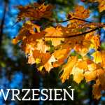 Zapraszamy na wrześniowe spotkania Akademii Walki z Rakiem